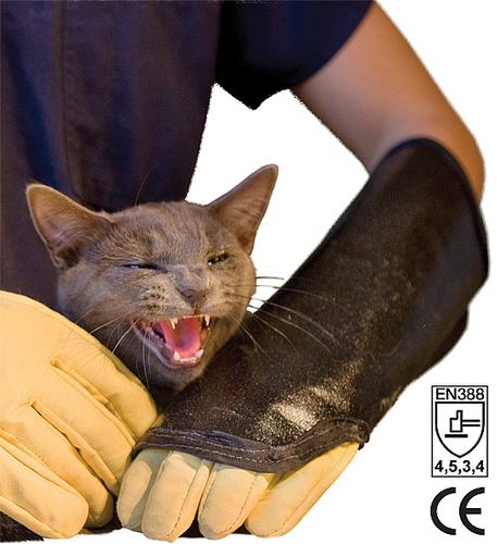 Arbeits-Überziehhandschuh - Sleeve series - Turtleskin Limited - mechanischer Schutz / EN 388