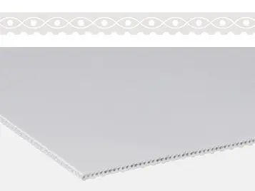 Urethan-Förderband - E 3/1 U2/U2 BT/SMT-HACCP-PS - Forbo Siegling GmbH - aus PS / für die Lebensmittelindustrie / Industrie