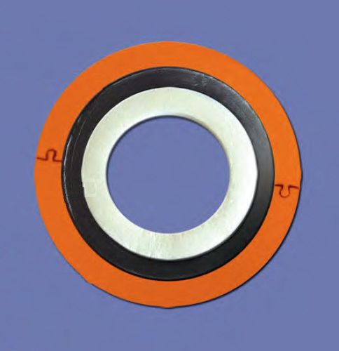Lippendichtung - CPR-HF  - Flexitallic - Graphit / kreisförmig / Hochdruck