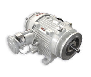 Hydrostat - 4 - 22 kW | 15 - 17B series - VAR-SPE