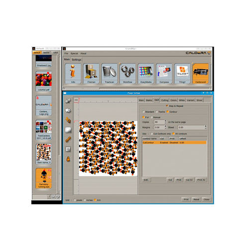Ressourcen-Management-Software - RIP Caldera - AMPLA DIGITAL - Schnittstellen / Qualität / Schachtel