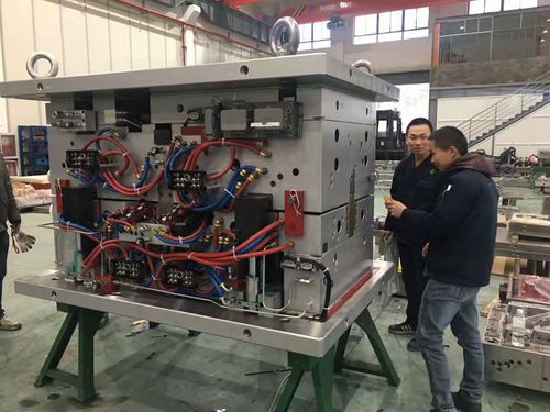 Zweikomponenten-Spritzgießen - NingBo ChenTe electronics Technologies Co.,Ltd - Monomaterial / Mehrkomponenten / Thermoplast