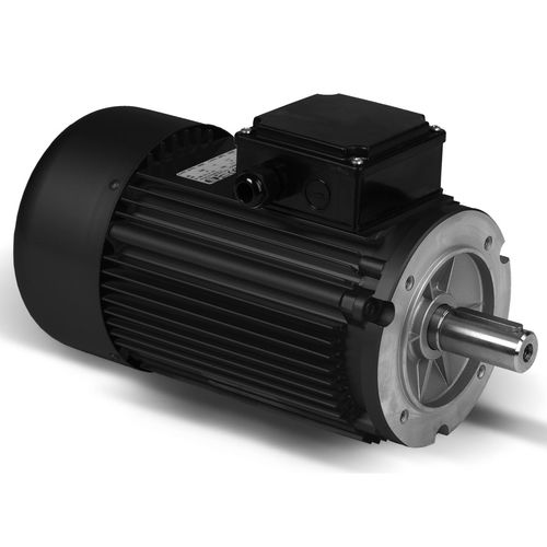 Asynchronmotor - ORANGE 1 ELECTRIC MOTORS SPA - einphasig / dreiphasig / 400 V