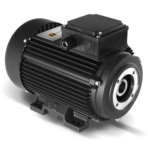 Asynchronmotor - HYDRO Series - ORANGE 1 ELECTRIC MOTORS SPA - einphasig / dreiphasig / 400 V