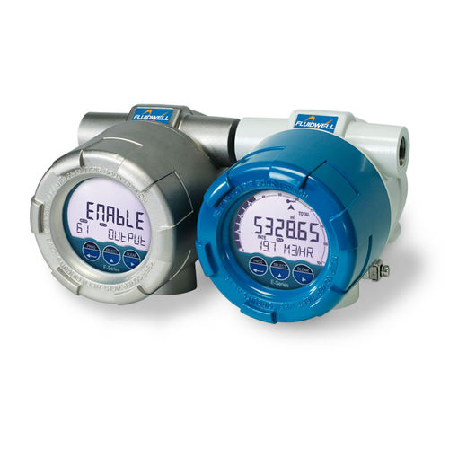 Durchflussrechner für Gas - E126-EG - Fluidwell bv - ATEX / mit Zählerfunktion / ex-geschützt