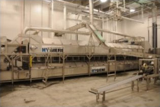 Lebensmittelpasteurisierer - Sinteco Impianti Srl