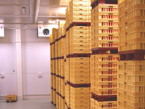 Reifekammer für Käse - FIBOSA - trocken / für die Lebensmittelindustrie