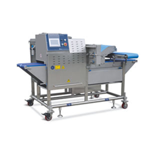 Fleischschneidemaschine - IFQJ2 series - Hiwell Machinery Co., Ltd. - für Fisch / automatisch / Bandsägeblatt