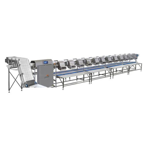 Kalibrieranlage für Fisch - MC Marine - MARELEC Food Technologies BVBA - für Fleisch / Band
