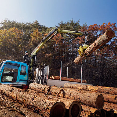 Gelenkausleger-Holzladekran - 61Z  - Hiab - LKW-montiert