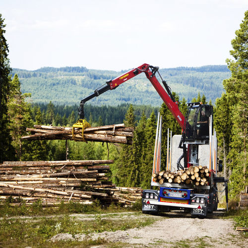 Gelenkausleger-Holzladekran - 1188S series - Hiab - LKW-montiert