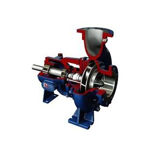 Impellerpumpe - RD series - SALVATORE ROBUSCHI & C. srl - Wasser / elektrisch / selbstansaugend
