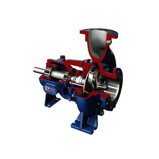 Impellerpumpe - RG series - SALVATORE ROBUSCHI & C. srl - Wasser / elektrisch / selbstansaugend