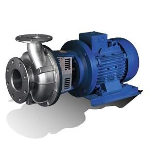 Impellerpumpe - HD series - SALVATORE ROBUSCHI & C. srl - Wasser / elektrisch / selbstansaugend
