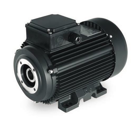 Motor für Pumpen - HYDRO series - Sicme Motori - Asynchron / AC / 400 V
