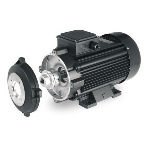 Doppelflanschmotor - HYDROG series - Sicme Motori - Asynchron / AC / 400 V