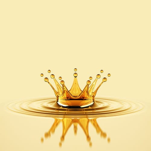 Feststoff-Schmierstoff / Schmier - KARLIFOOD SP 2 - MYLUBRICANTS - Synthetik / für Wälzlager / für Ketten