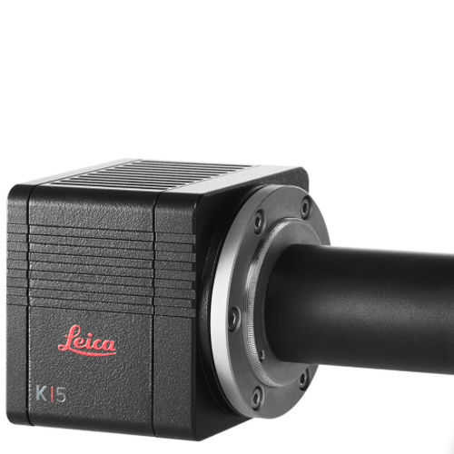 Mikrokamera für Mikroskope - K5 - Leica Microsystems GmbH - Farb / sCMOS / USB 3.0
