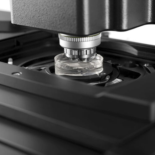 Labormikroskop - TCS SP8 DLS - Leica Microsystems GmbH - 3D / Konfokal / hochauflösend