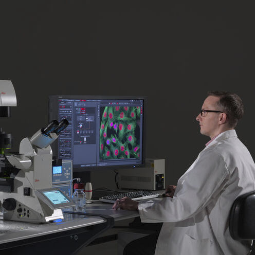 Software für Bildgebung - LAS X Life Science - Leica Microsystems GmbH - für Mikroskop / Windows
