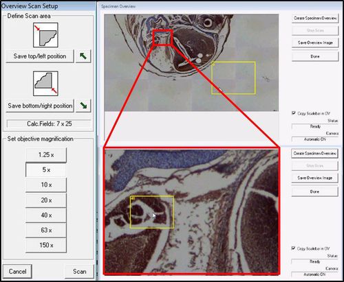 Laborsoftware - LMD Software - Leica Microsystems GmbH - für Mikroskop