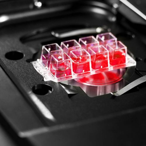 Software für Mikroskopie - HCS A - Leica Microsystems GmbH