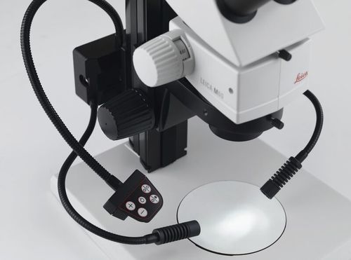 LED-Handleuchte - LED3000 SLI - Leica Microsystems GmbH - flexibel / Schwanenhals
