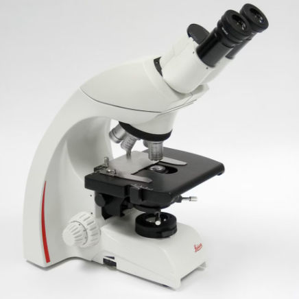 Optisches Mikroskop - DM750  - Leica Microsystems GmbH - für Lehrzwecke / aufrecht / Fluoreszenz