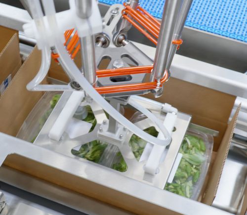 Beladungssystem für die Lebensmittelindustrie - MULTIVAC Group - Roboter