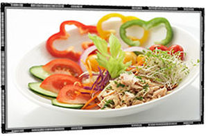 LCD-Monitor - POS-Line 46" IQ Atom - Data Display GmbH - TFT / 1920 x 1080 / mit VESA-Montage