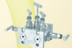 5-Wege-Verteilerblock - 5VEE6 - Expert Engineering - Flansch / für Messinstrumente