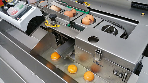 Eierbrechmaschine - RZ series - Dion Engineering