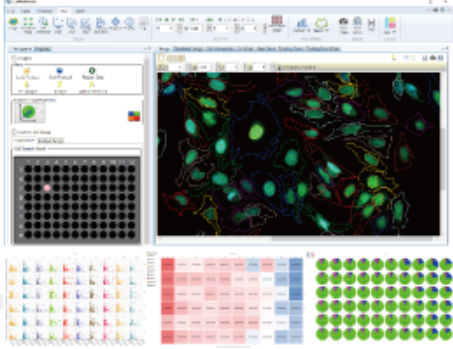 Analysesoftware - CellPathfinder - YOKOGAWA Europe - Schnittstellen / Reporting / Entwicklung