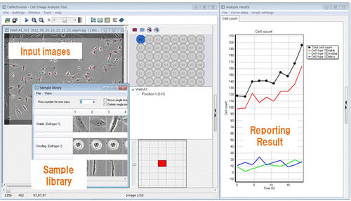 Analysesoftware - CellActivision - YOKOGAWA Europe - für Phasen-Analyse / Entwicklungs / für Bildgebung