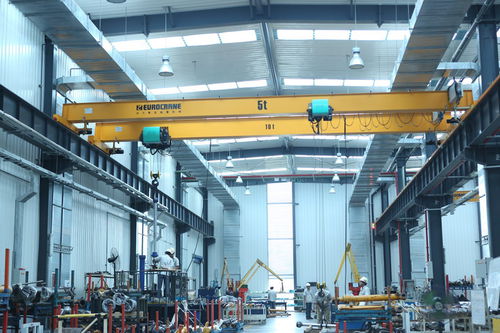 Einträger-Laufkran - 00024 - Eurocrane(China)Co.,Ltd - leichtgewichtig / Profilstahl