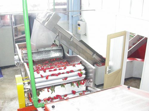 Bläser-Waschanlage - Thermohran Engineering JSC - automatisch / für die Lebensmittelindustrie