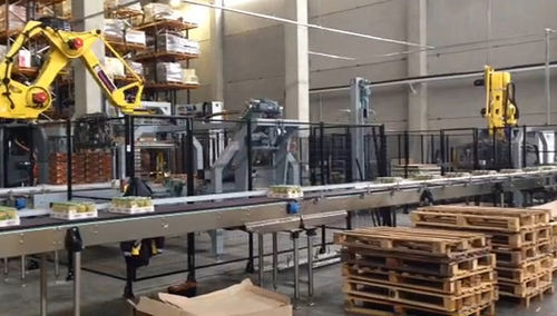 Palettierer und Depalettierer / Roboter - FL-PAL_DEPAL - F.B.L. Food Machinery S.r.l. - für Pakete / für die Lebensmittelindustrie