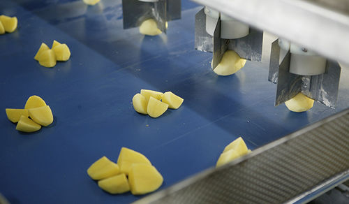 Kartoffel-Gemüseschneider - Eagles eye - Finis Foodprocessing Equipment B.V.