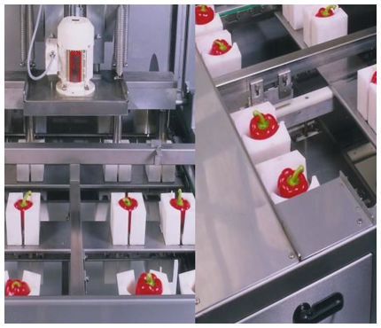 Paprikaschoten-Entstrunker - Finis Foodprocessing Equipment B.V.