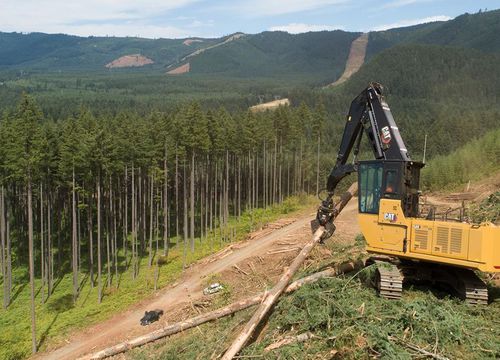 Mittelgroßer Bagger - FM548  - Caterpillar Equipment - auf Raupen / Diesel / für Forstwirtschaft