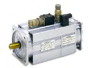 Asynchron-Servomotor - QCAVS/QCAVP Sincrovert® - OEMER - AC
