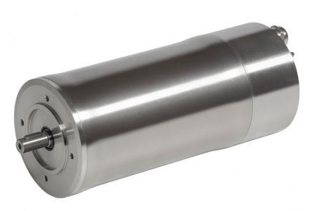 Edelstahl-Motor - MSS series  - Carpanelli - Asynchron / DC / selbstbremsend