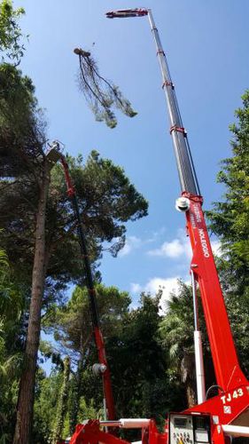 Mini-R-Kran / auf Raupen - XTJ 43+ - Palazzani industrie S.p.A. - Teleskop / für Baustelle