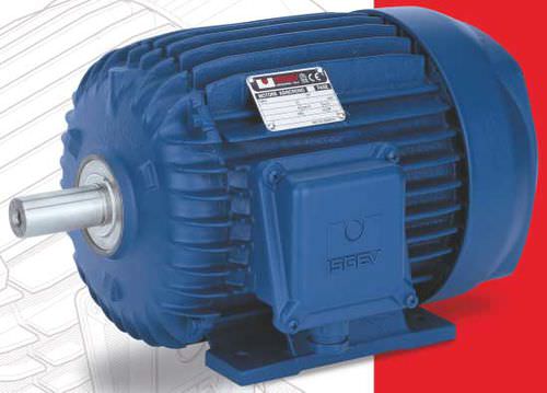 Asynchronmotor - ISGEV - AC / dreiphasig / 80 V