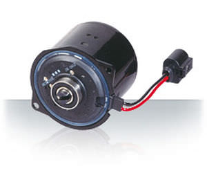 Synchronmotor - EVP - NIDEC MOTORS & ACTUATORS - DC / 110 V / 4-polig