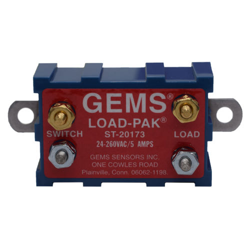 Kompaktes programmierbares Relay - 20173 - GEMS SENSORS & CONTROLS - eingebaut / Analogausgänge / Relaisausgang