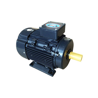 Induktionsmotor - YUJ series - Gw industry - einphasig / 220 V / IP55