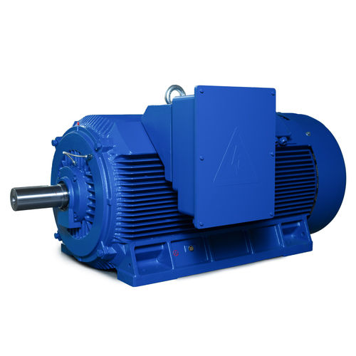 Hochleistungsmotor - Y2 Series - Shandong Sunvim Motor Co., Ltd. - Asynchron / dreiphasig / 6000 V