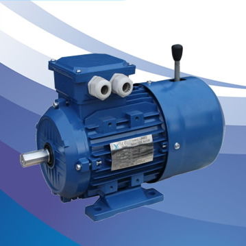 Asynchronmotor - MSEJ/MSEJA series - FUJIAN YONGDASHENG ELECTRICAL MACHINERY CO., LTD - dreiphasig / 400 V / 380 V