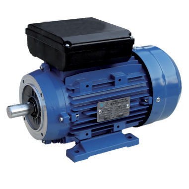 Induktionsmotor - ML series - FUJIAN YONGDASHENG ELECTRICAL MACHINERY CO., LTD - einphasig / 220 V / Kondensatoren